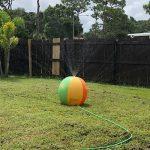 agua pelota niños verano rociador